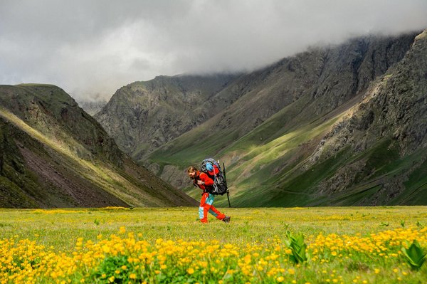Mastering Wildlife Photography: Essential Techniques for Stunning Shots in Britain's National Parks