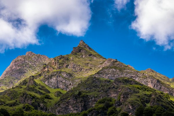 Master the Art of Traditional British Basket Weaving: Engaging Workshops Designed for Adventurous Travelers